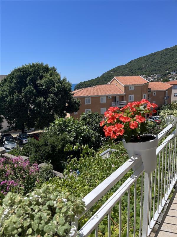 Apartmani Neda Bane Petrovac Eksteriør bilde