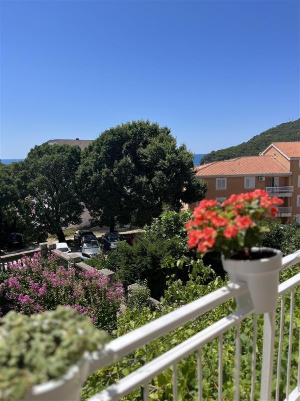 Apartmani Neda Bane Petrovac Eksteriør bilde
