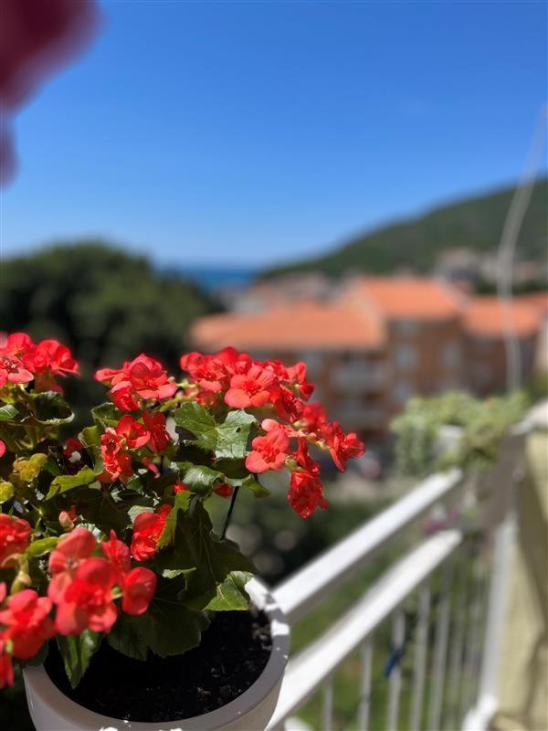 Apartmani Neda Bane Petrovac Eksteriør bilde
